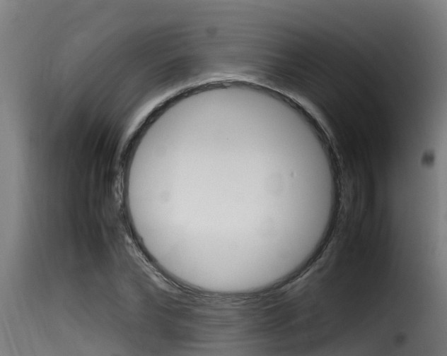 X0000116100878200911230929
