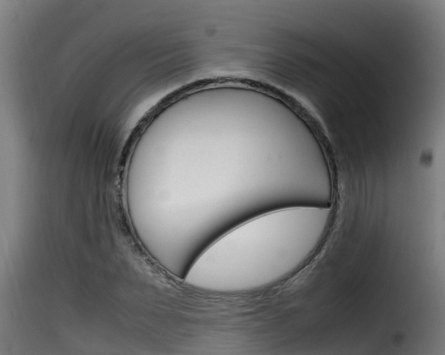 X0000116100879200911230929