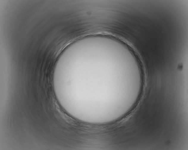 X0000116100881200911230929