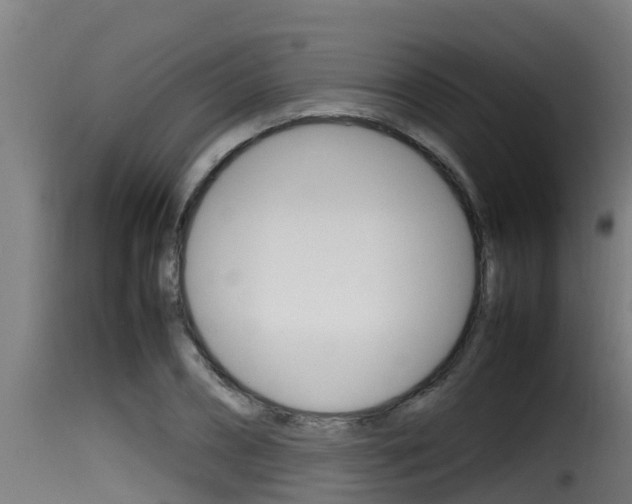 X0000116100882200911230929