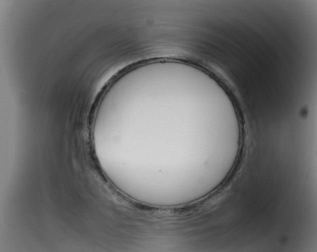 X0000116100883200911230929