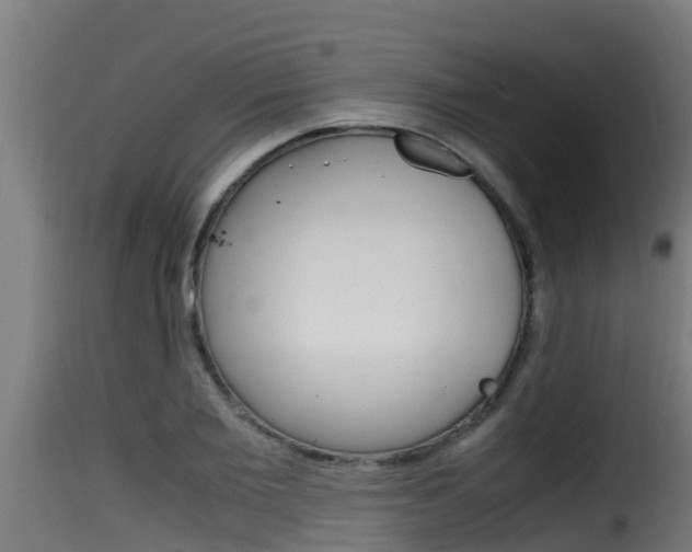 X0000116100885200911230929