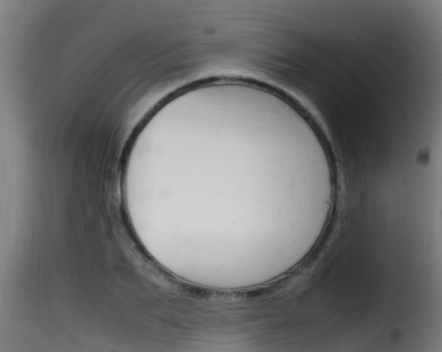 X0000116100887200911230929