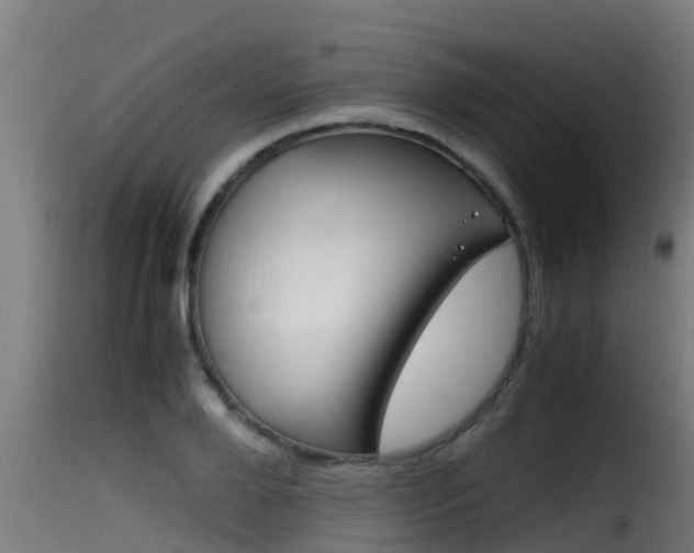 X0000116100888200911230929
