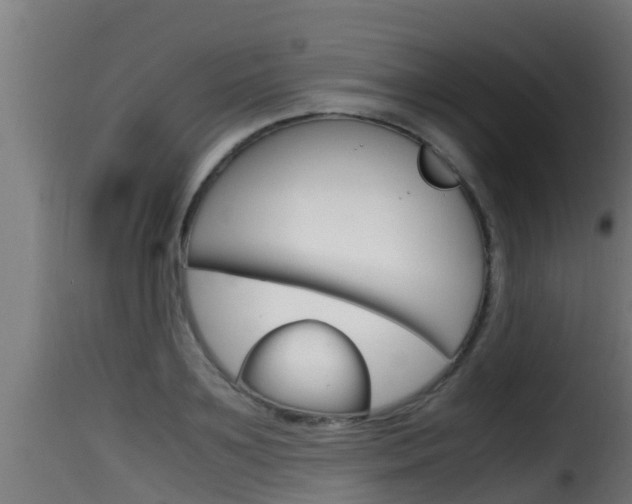 X0000116100891200911230929