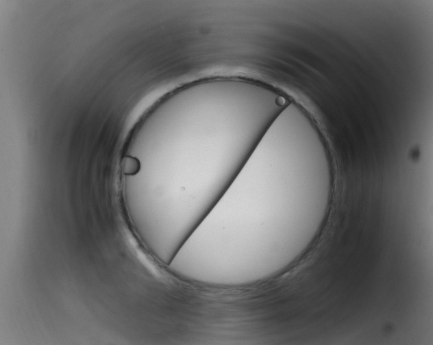 X0000116100894200911230929