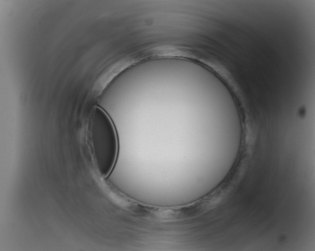 X0000116100897200911230929