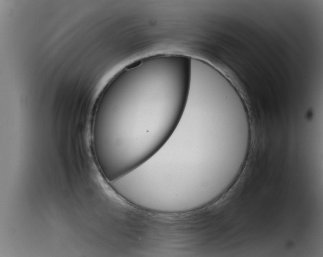 X0000116100904200911230929