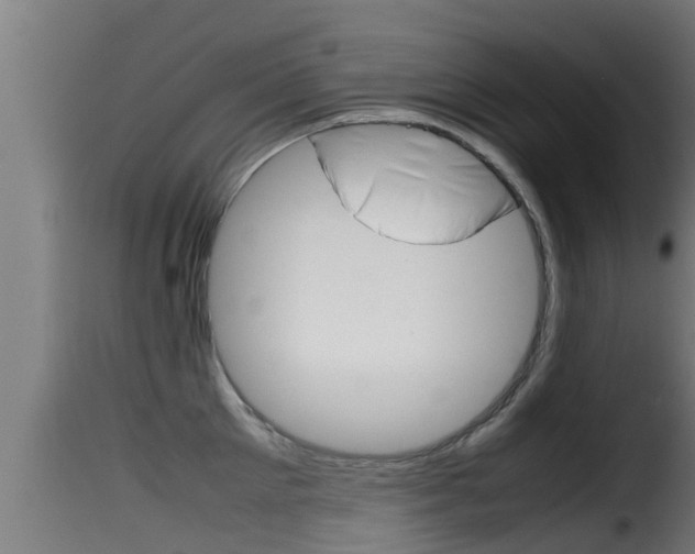 X0000116100905200911230929