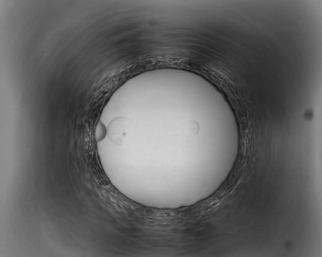 X0000116100917200911230928