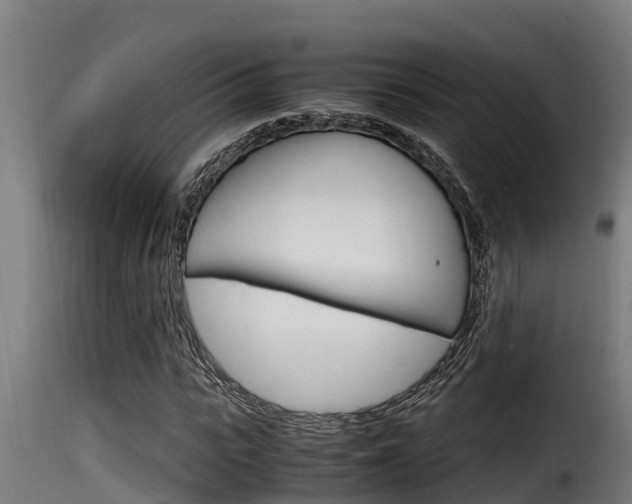 X0000116100919200911230928
