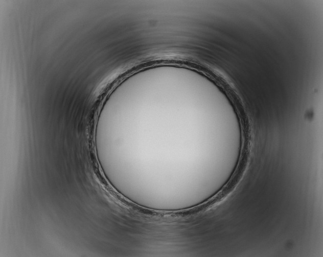 X0000116100922200911230928