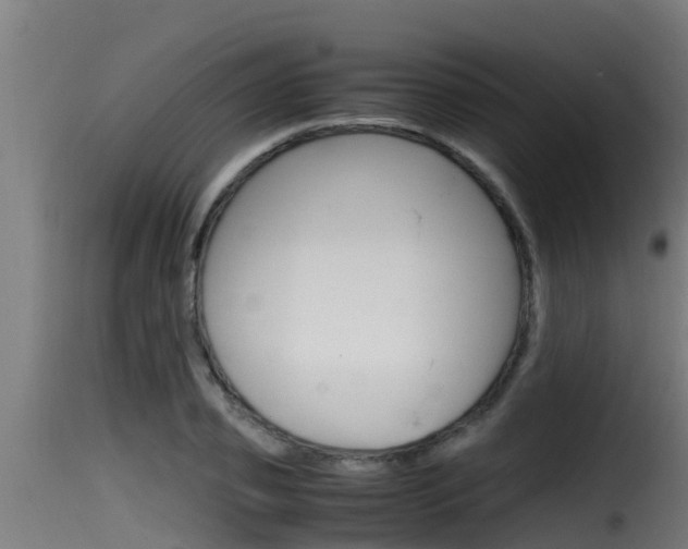X0000116100933200911230929