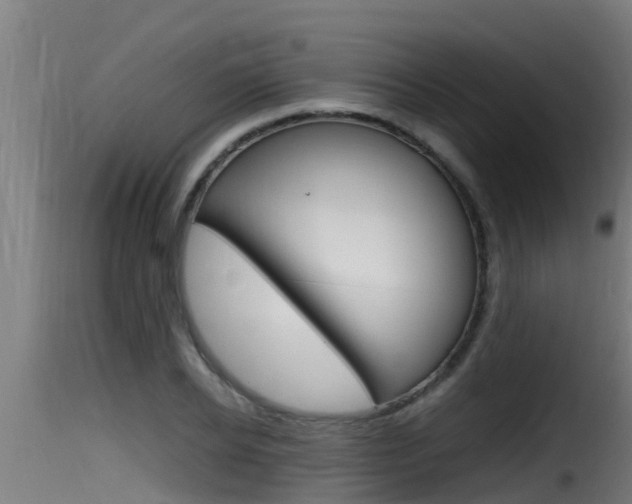 X0000116100934200911230929
