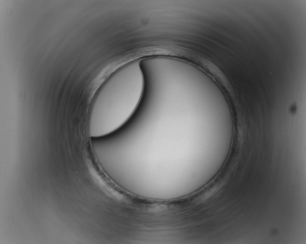 X0000116100938200911230929