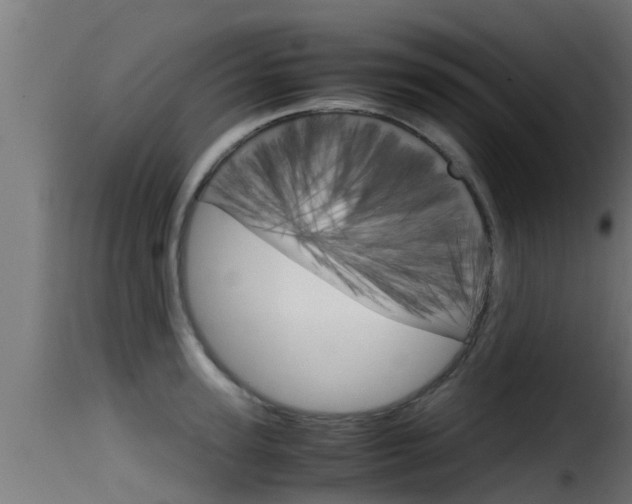 X0000116100947200911230929