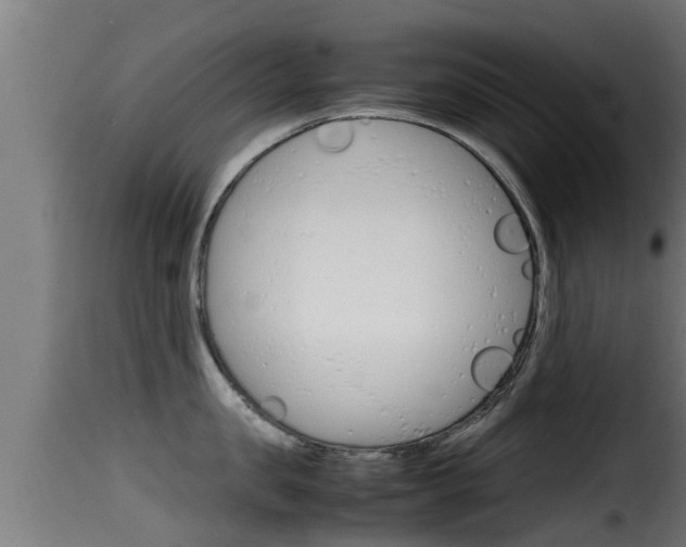 X0000116100957200911230929