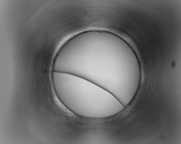 X0000116100958200911230929