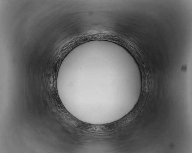 X0000116100966200911230928