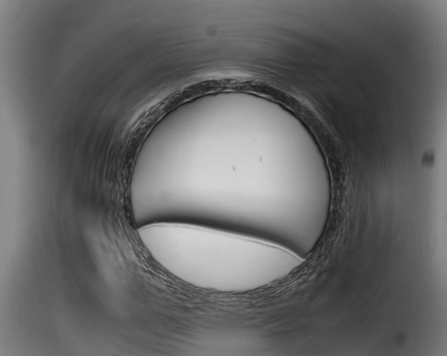 X0000116100967200911230928