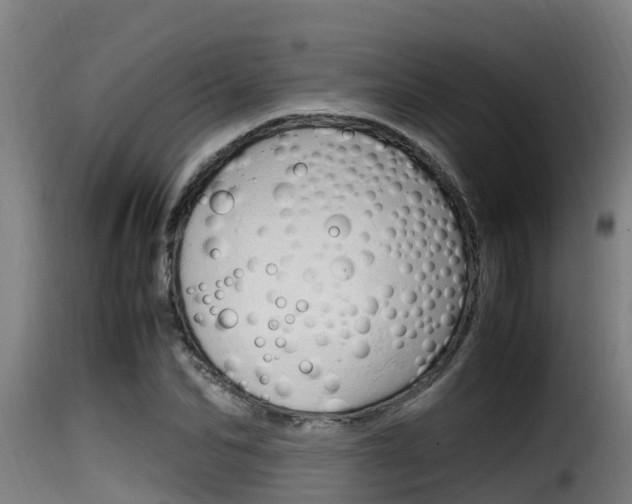 X0000116100974200911230928