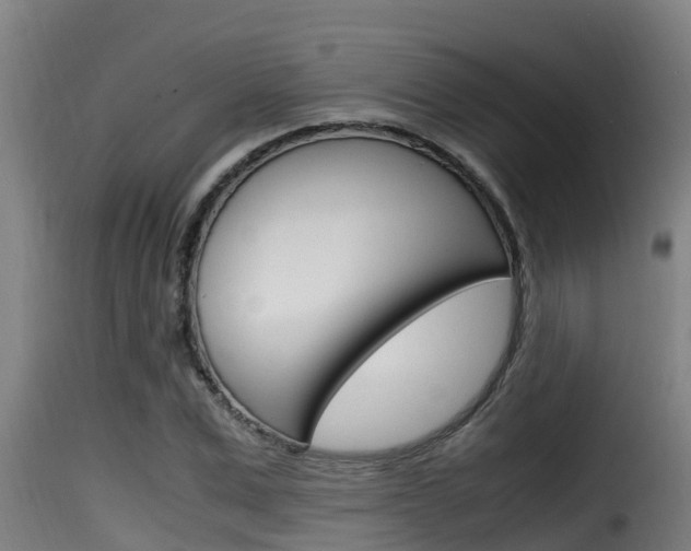 X0000116100975200911230928