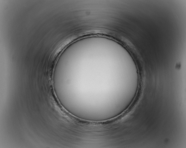 X0000116100977200911230928