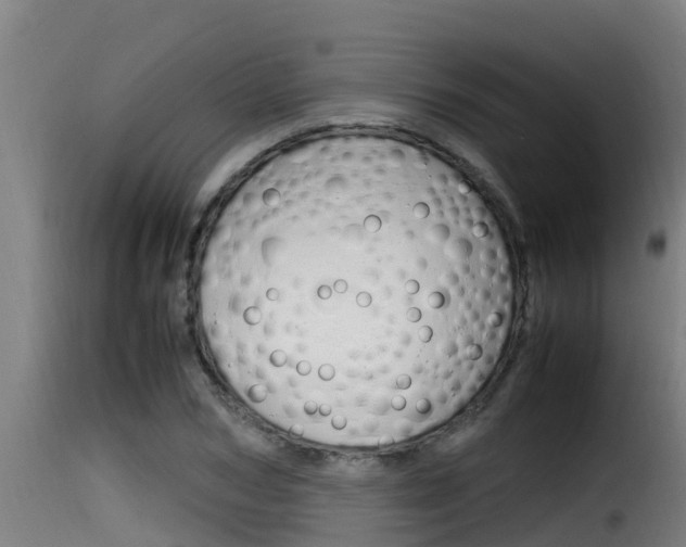 X0000116100978200911230928