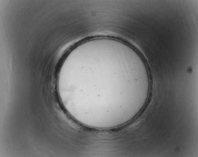 X0000116100979200911230928