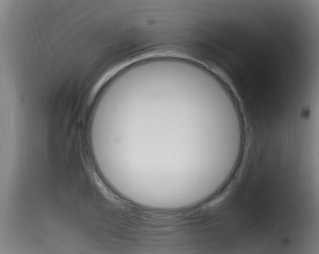 X0000116100981200911230928