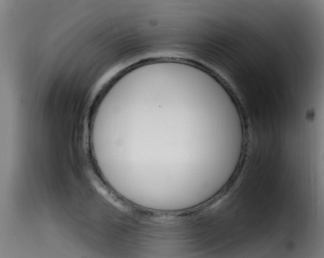 X0000116100982200911230928
