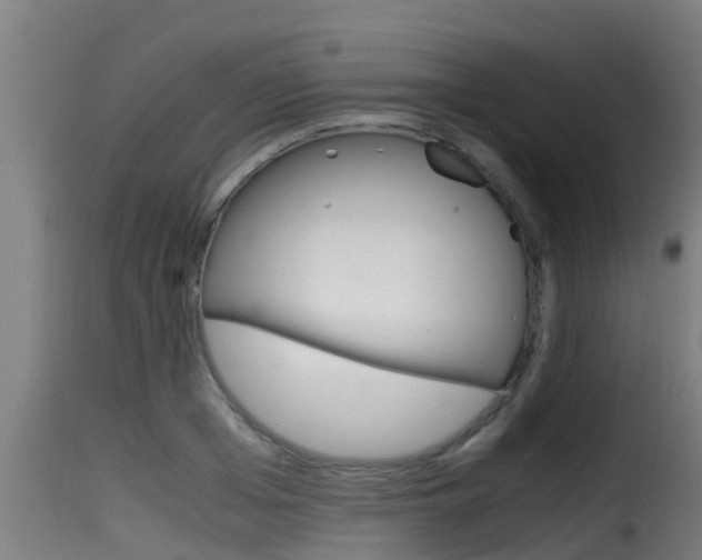 X0000116100985200911230928