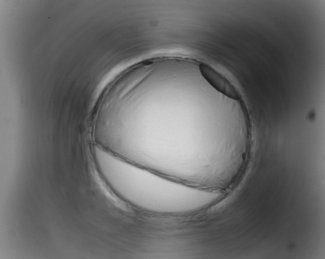 X0000116100989200911230928