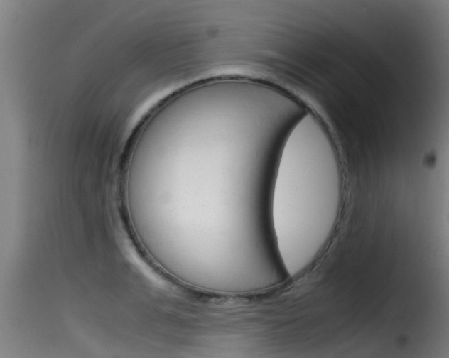 X0000116100991200911230928