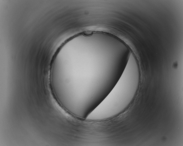 X0000116100992200911230928