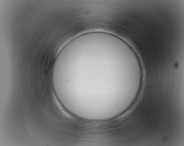 X0000116100993200911230928