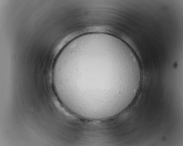 X0000116100994200911230928