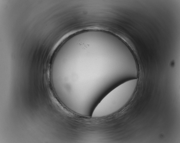 X0000116101000200911230928