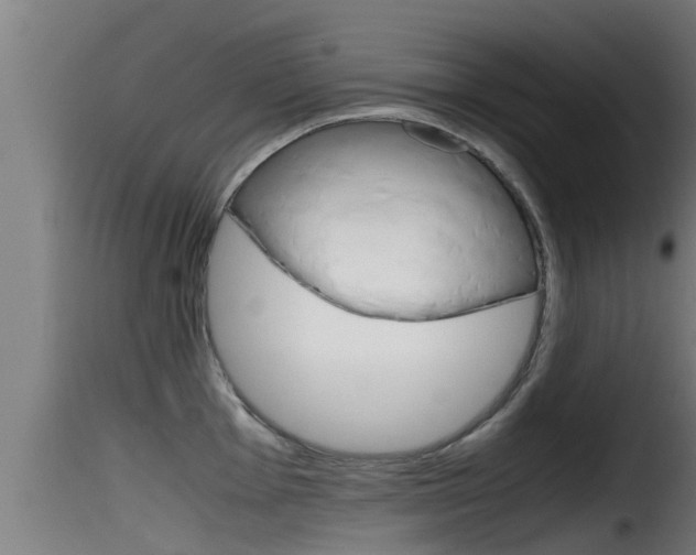 X0000116101001200911230928