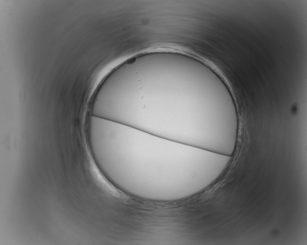 X0000116101003200911230928