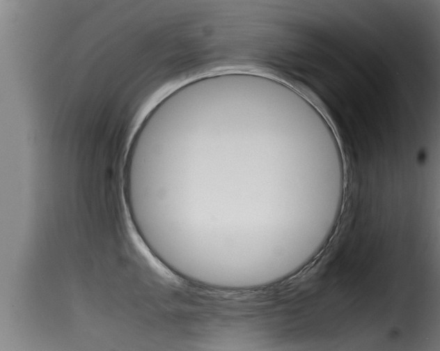 X0000116101005200911230928
