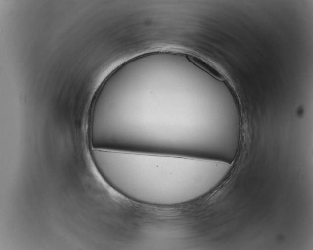 X0000116101007200911230928