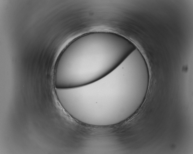 X0000116101008200911230928