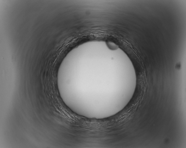 X0000116101009200911230927