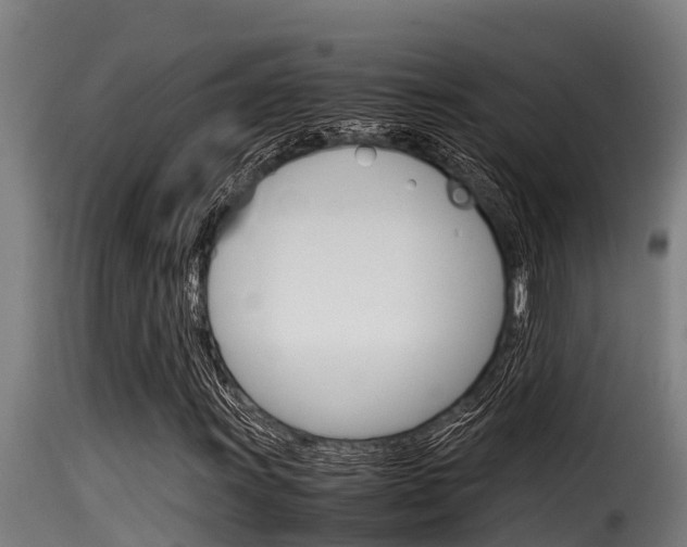 X0000116101011200911230927