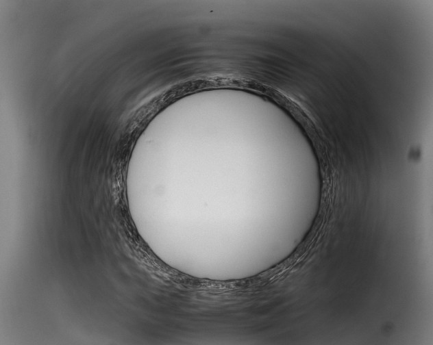 X0000116101015200911230927