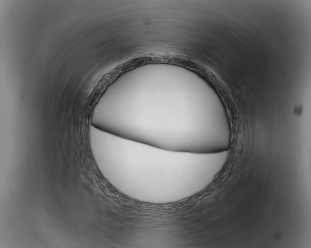 X0000116101016200911230927
