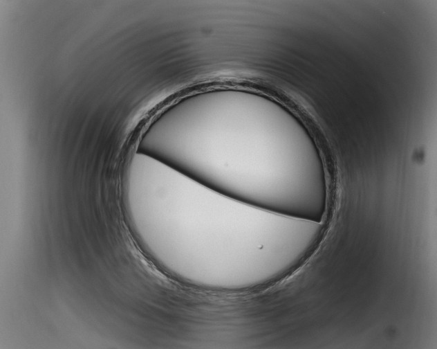 X0000116101018200911230927