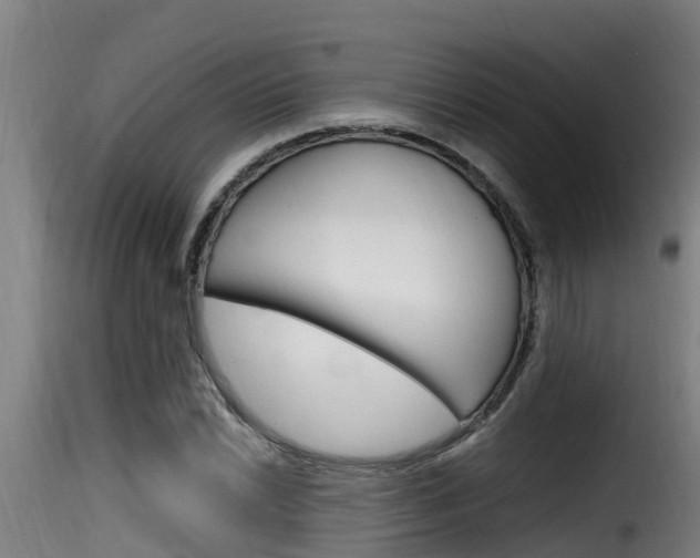 X0000116101022200911230927