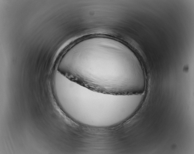 X0000116101024200911230927